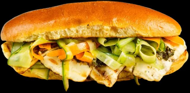 Vegepan